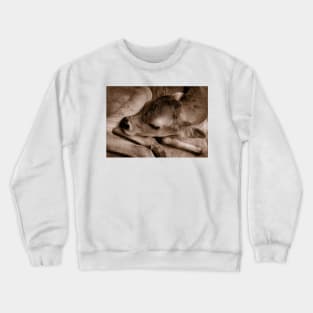 Newborn Crewneck Sweatshirt